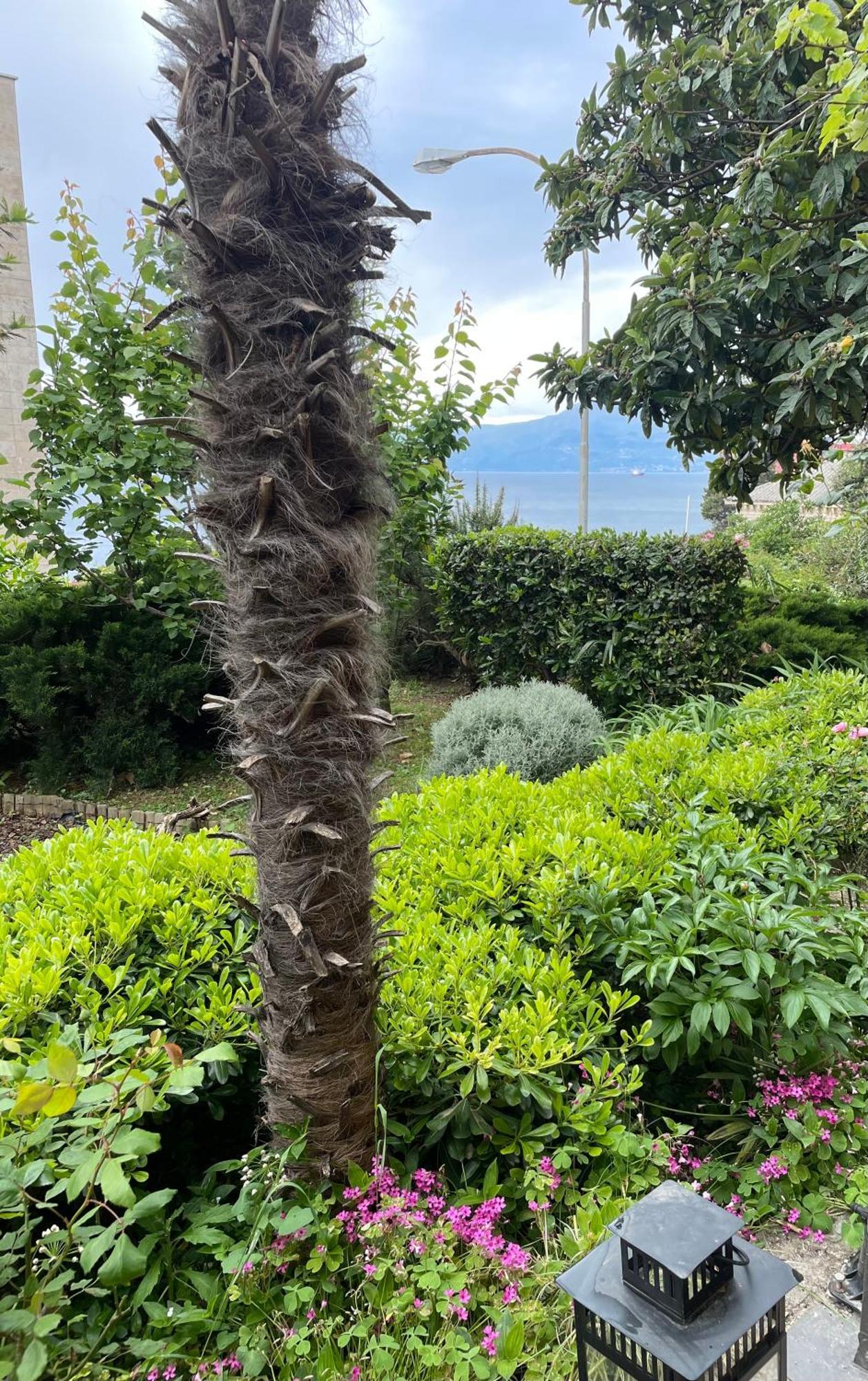 Dolce Vita Rijeka Buitenkant foto